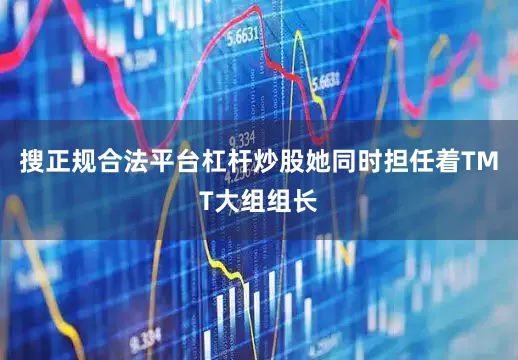 搜正规合法平台杠杆炒股她同时担任着TMT大组组长