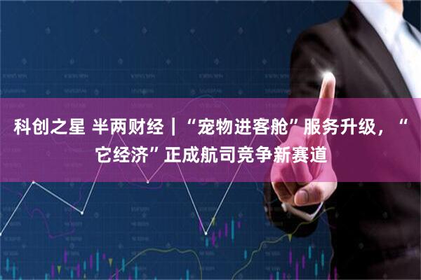 科创之星 半两财经｜“宠物进客舱”服务升级，“它经济”正成航司竞争新赛道