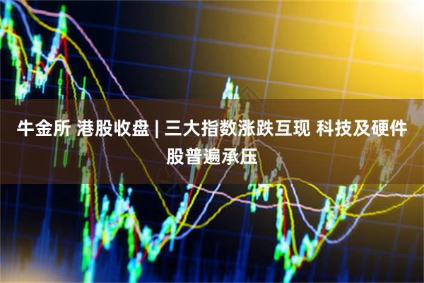 牛金所 港股收盘 | 三大指数涨跌互现 科技及硬件股普遍承压
