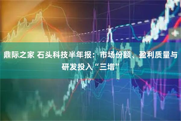 鼎际之家 石头科技半年报：市场份额、盈利质量与研发投入“三增”